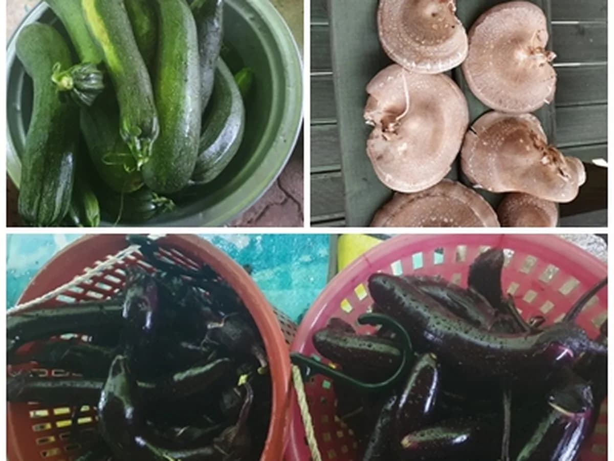 문수효마을 이미지 5