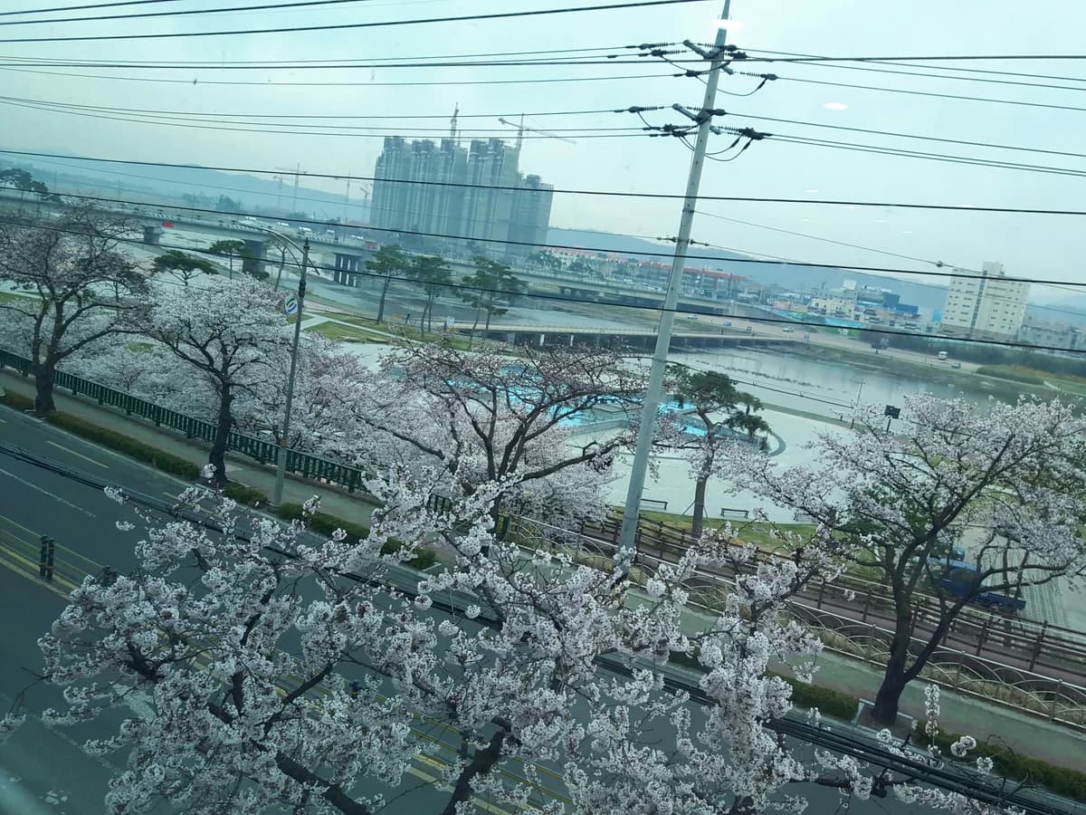 영천석미노인요양원 이미지 2