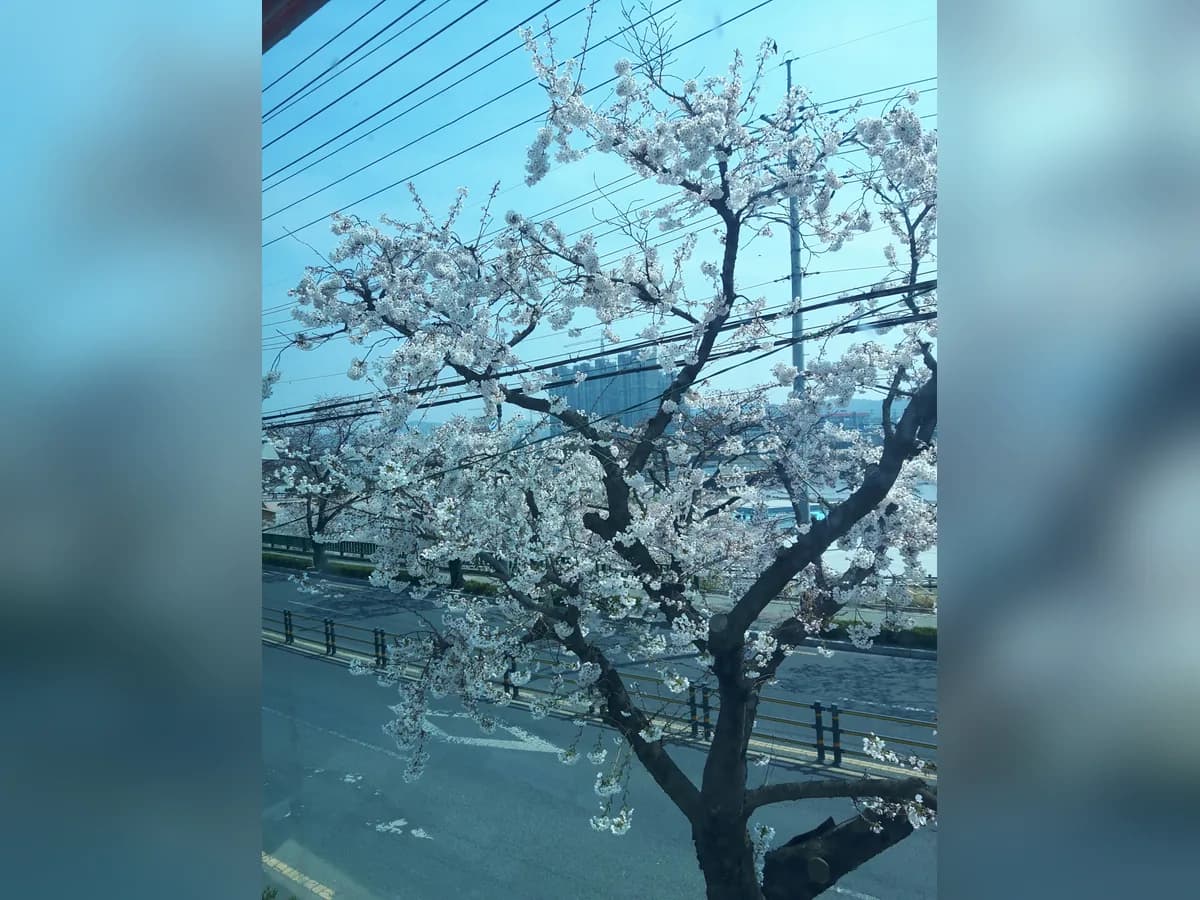 영천석미노인요양원 이미지 4