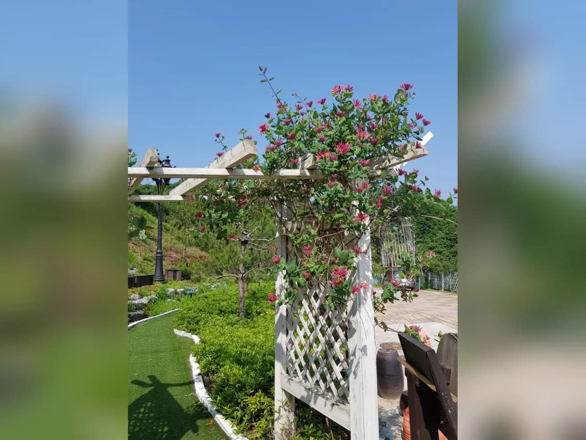 운정골드에이지 이미지 4