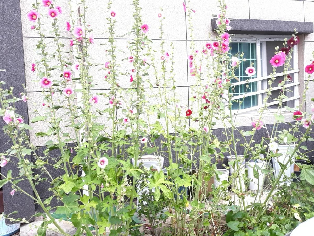 사랑노인요양공동생활가정 이미지 2