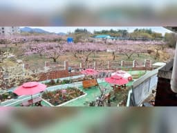 경산실버요양의집공동생활가정