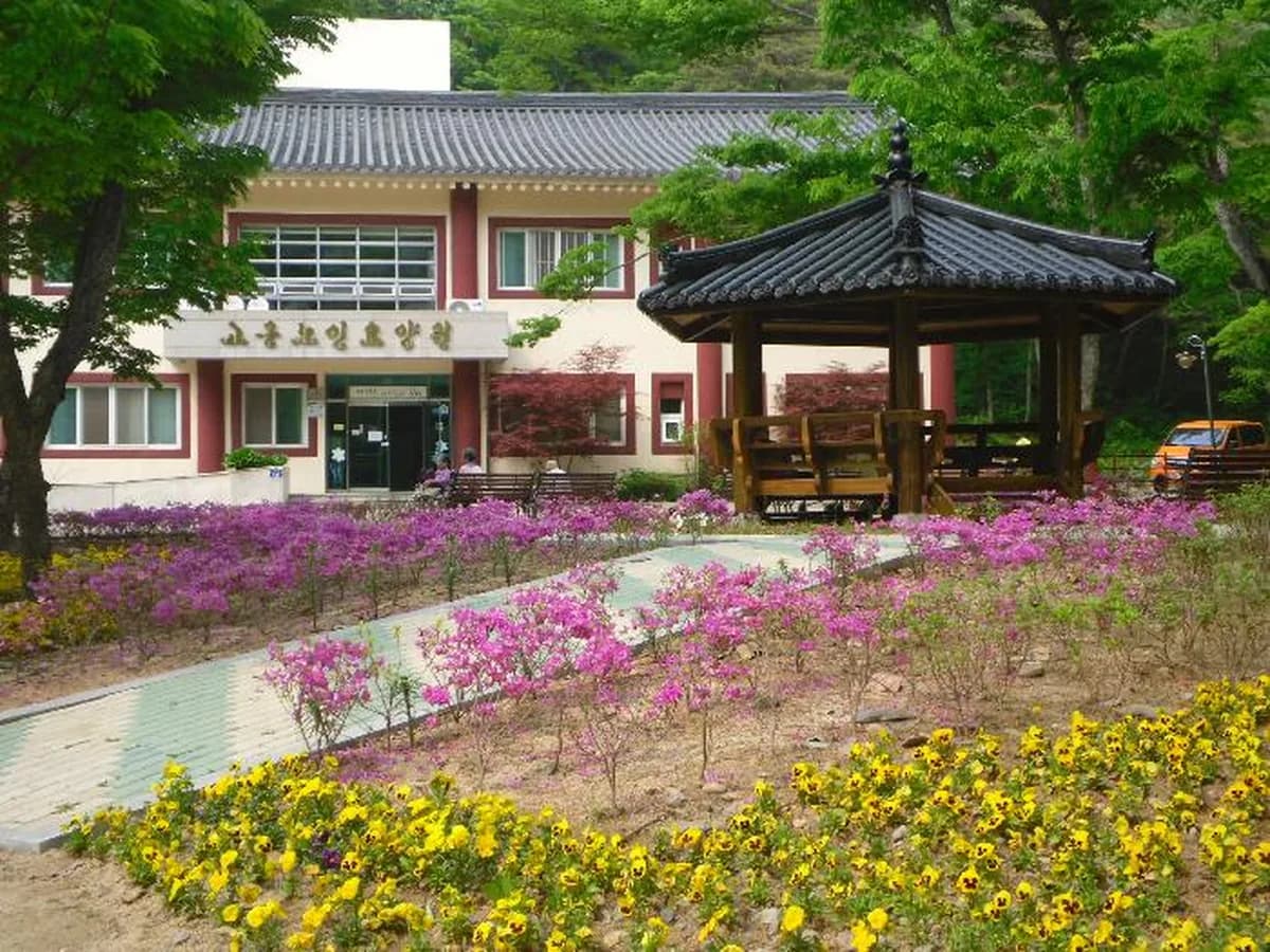 고운사요양원 이미지 4