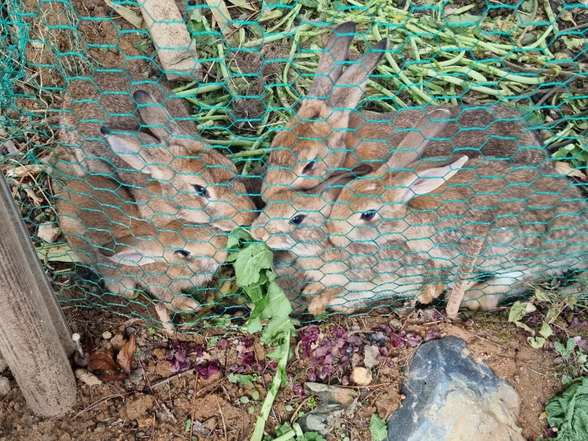 청송보현요양원 이미지 2