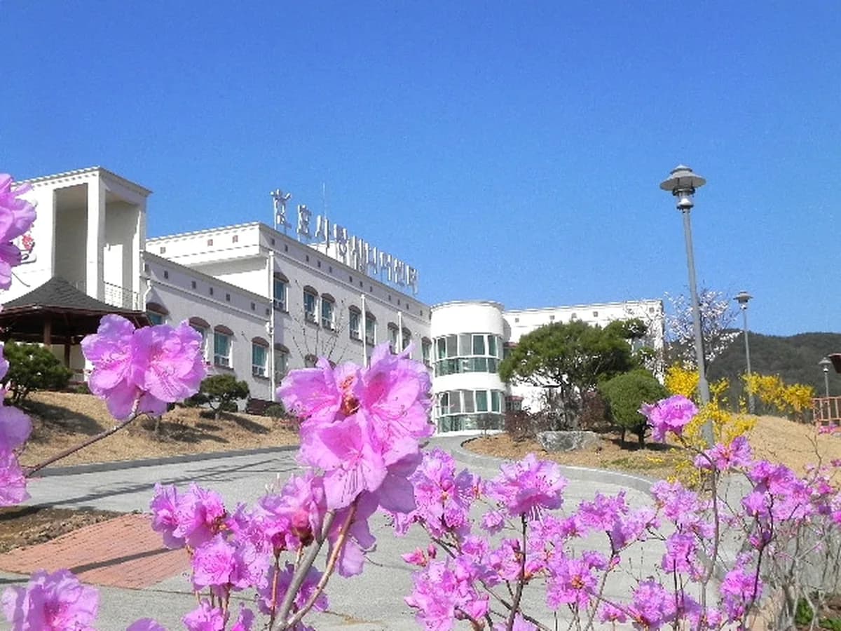 효사랑시니어센터 이미지 4