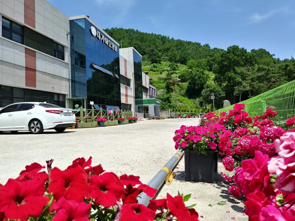 대가야요양원 이미지 7