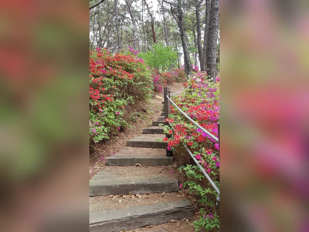 장미노인요양원 이미지 3