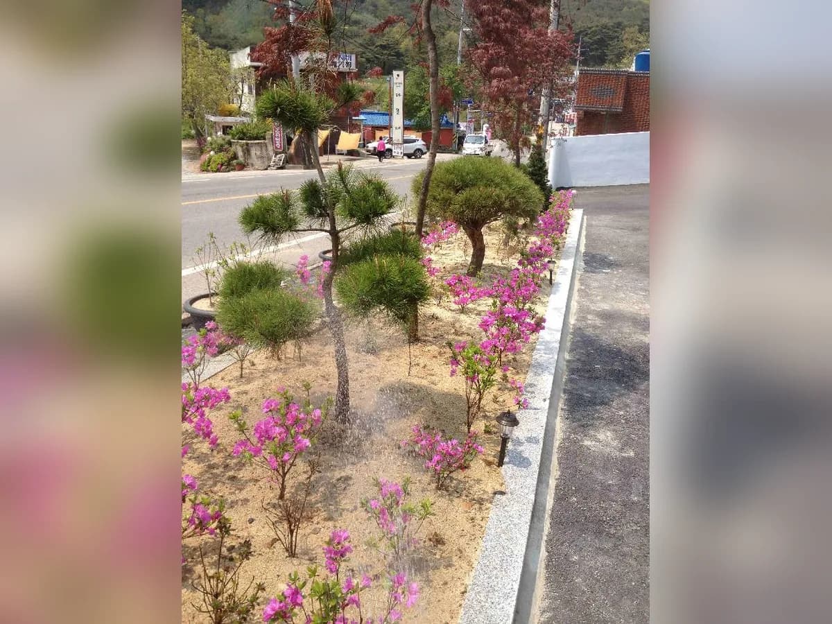 송림요양원 이미지 8