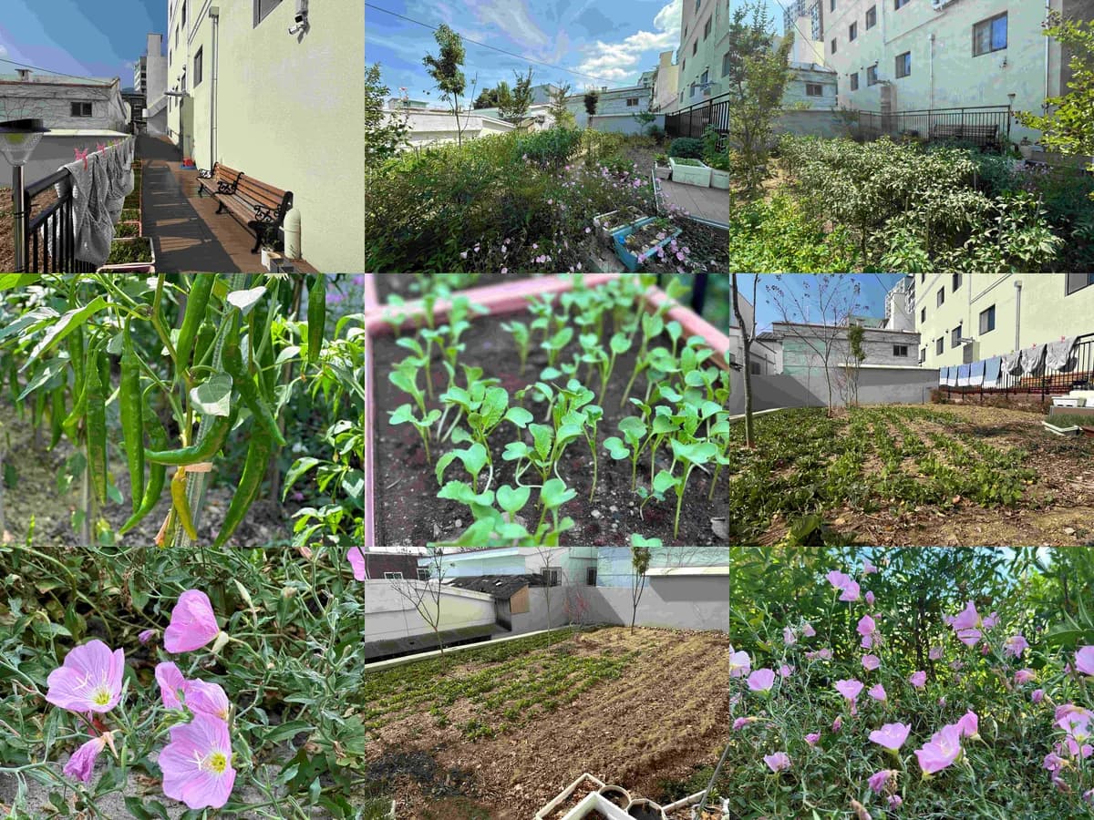 새론케어 이미지 1