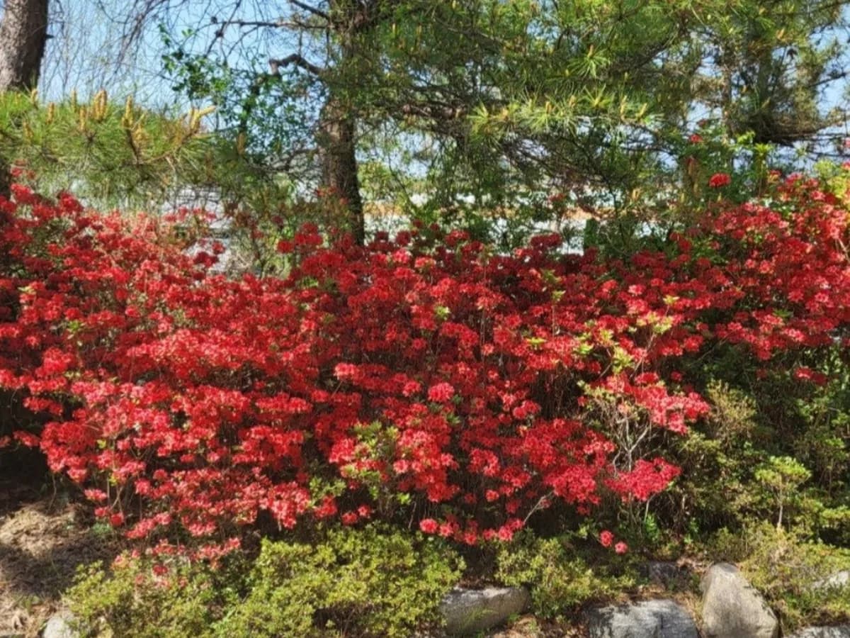 창원삼계요양원 이미지 3