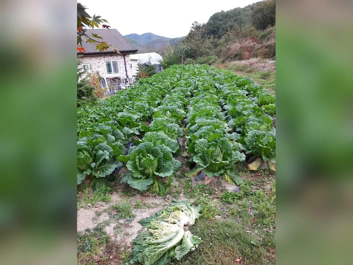 효원실버그룹홈 이미지 4