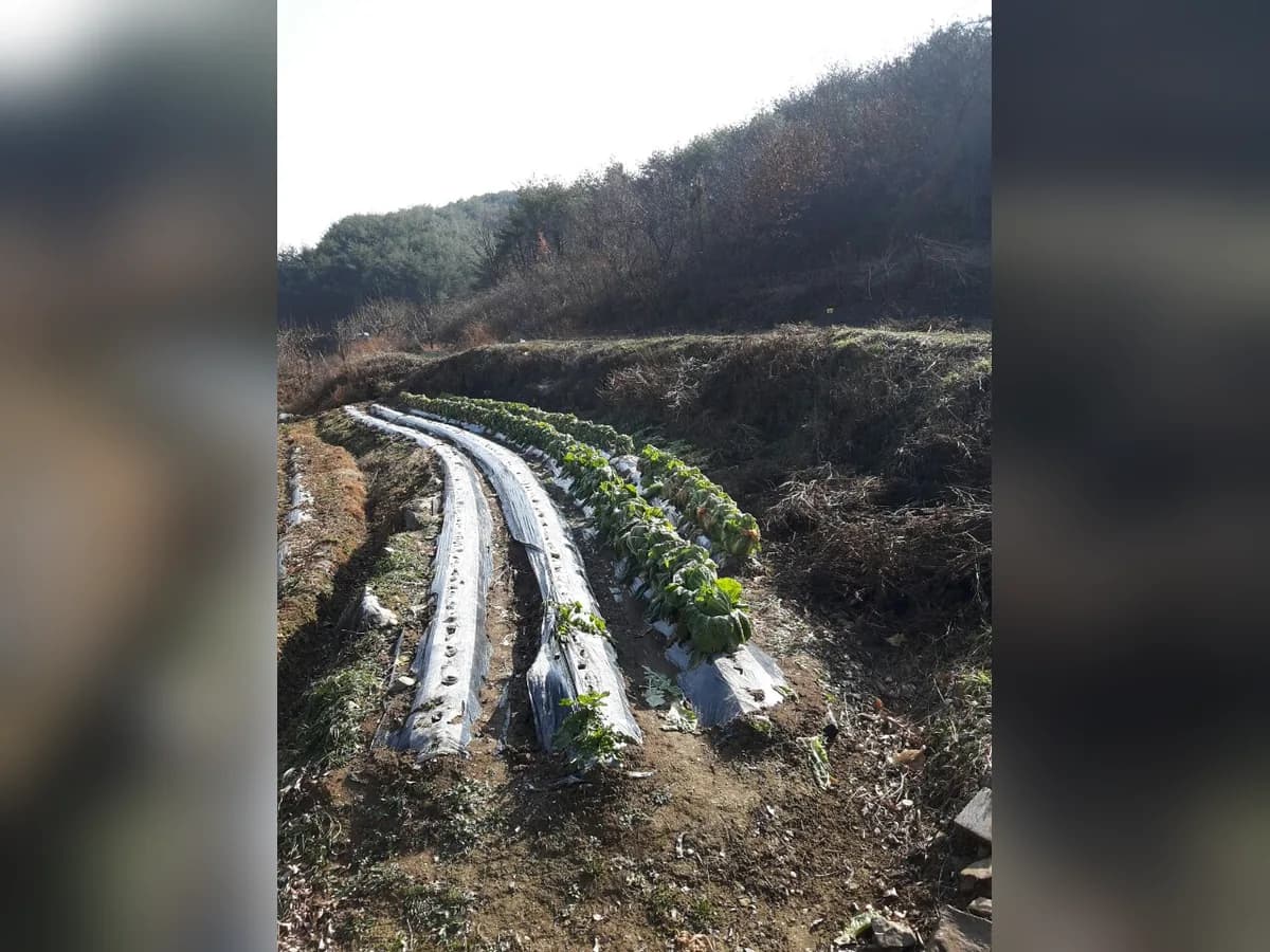 효원실버그룹홈 이미지 7