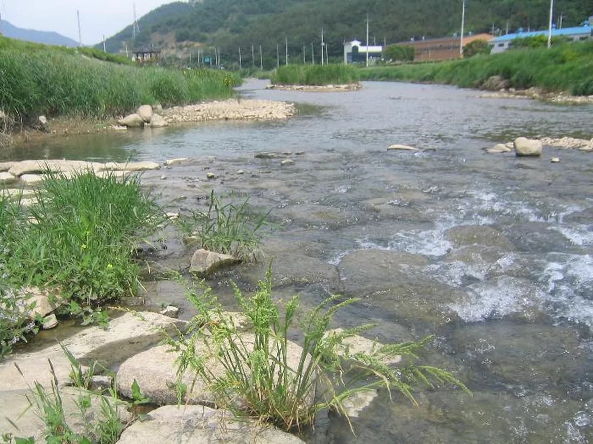 늘푸른요양원 이미지 5