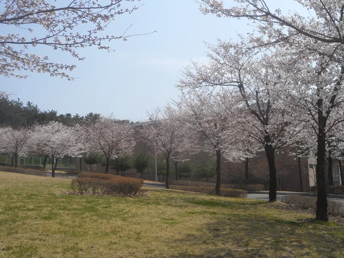 가야대학교 가야노인전문요양원 이미지 1