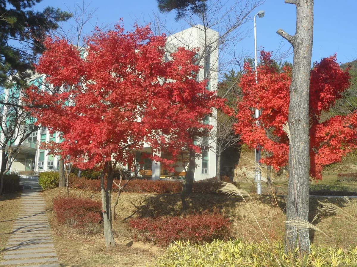 가야대학교 가야노인전문요양원 이미지 7