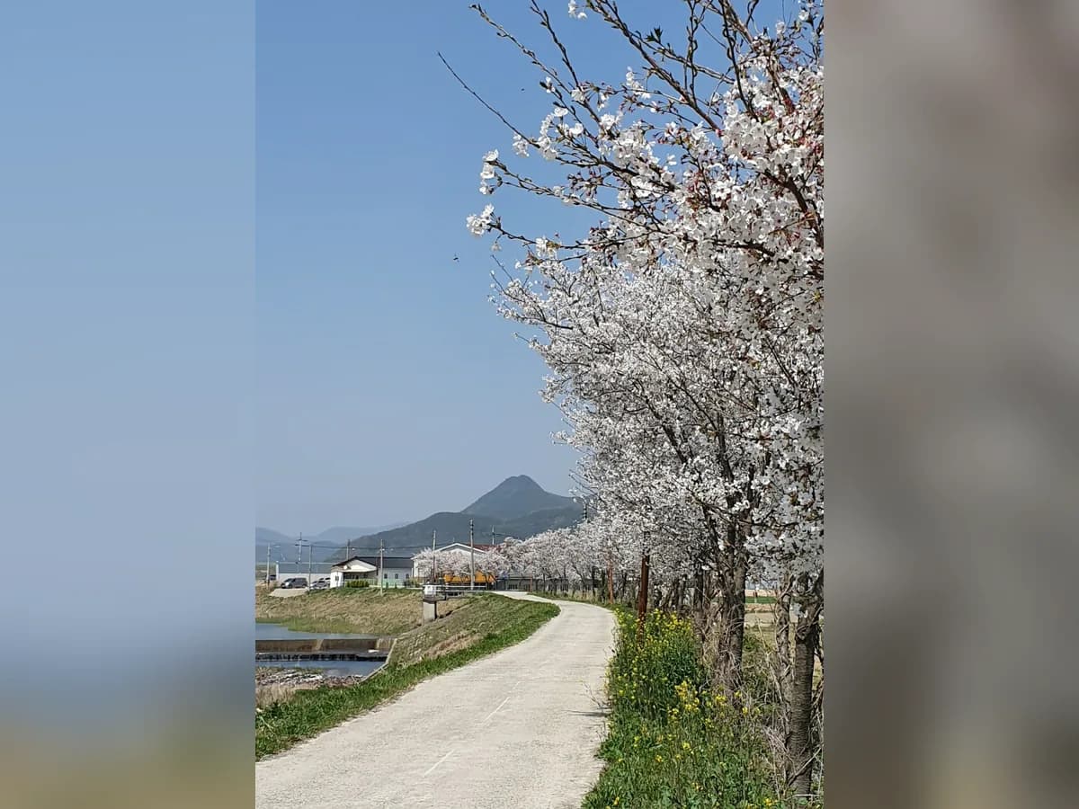 노인요양시설 효심마을 이미지 2