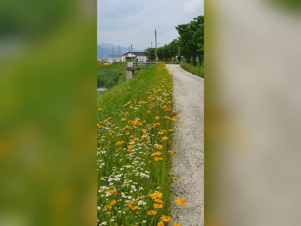 노인요양시설 효심마을 이미지 3