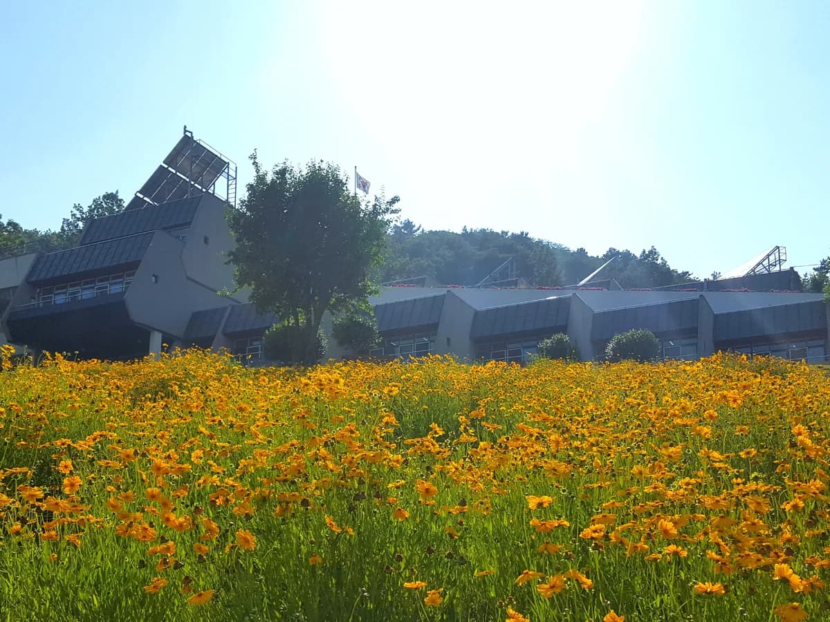 사회복지법인 자혜복지재단 노량실버타운 이미지 1