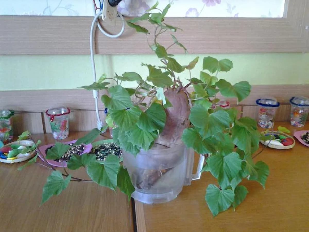 산청예심소규모노인종합센터 이미지 3