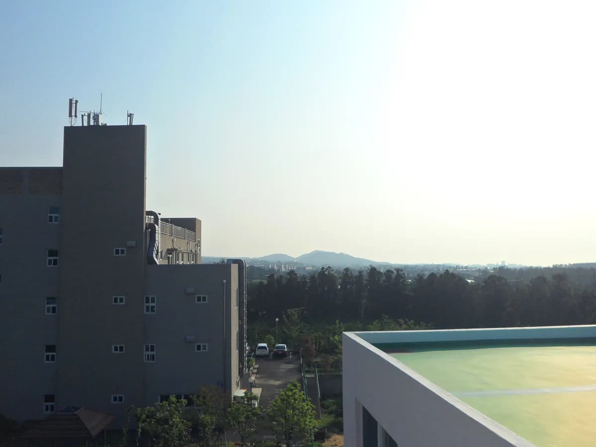제주태고원 이미지 4