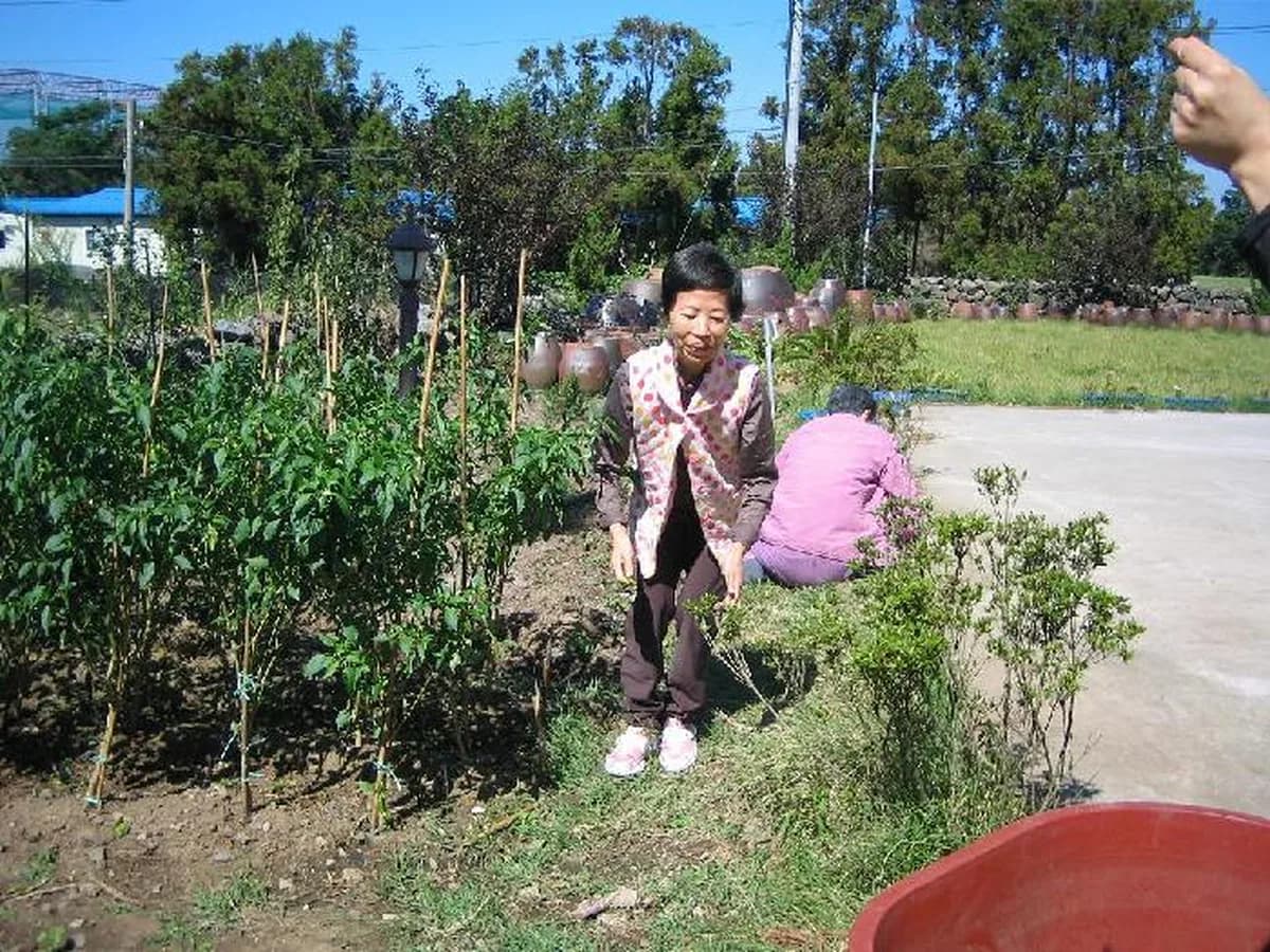 성심노인요양원 이미지 6