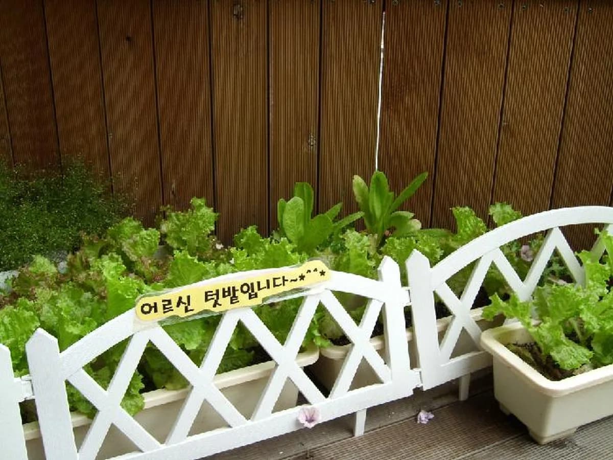 청운실버데이케어센터 이미지 4