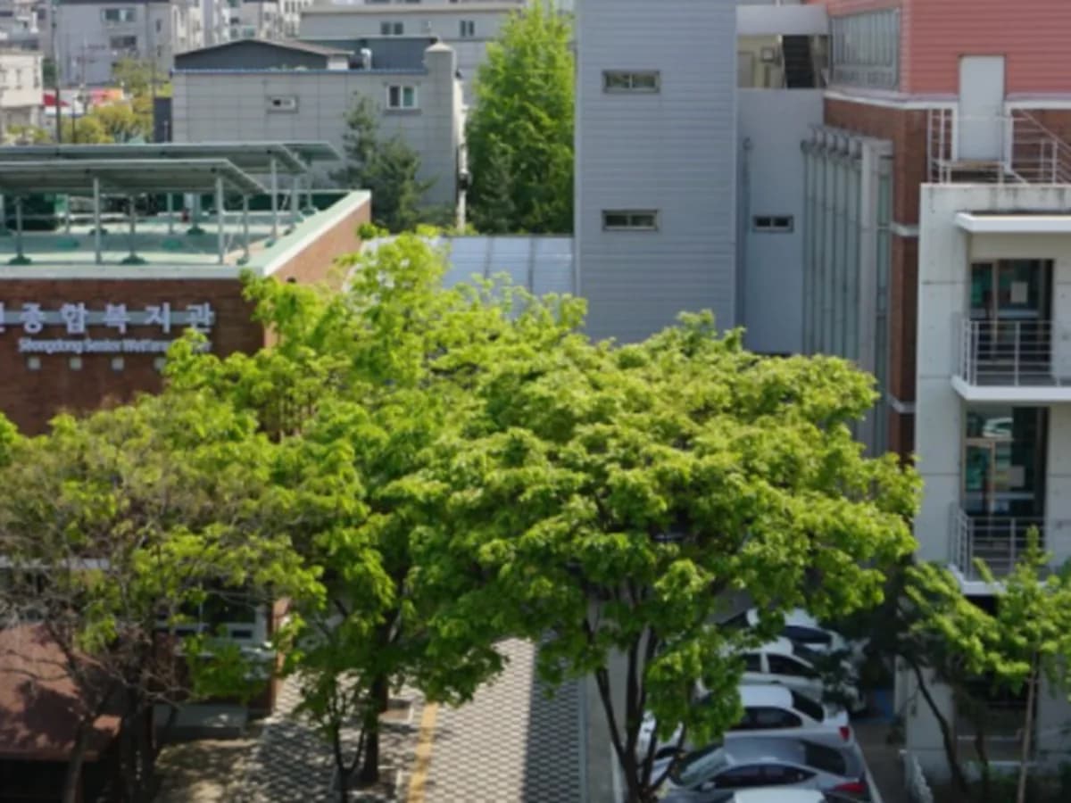 성동노인종합복지관병설성동데이케어센터 이미지 2