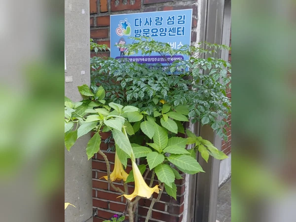 다사랑섬김재가복지센터 이미지 2