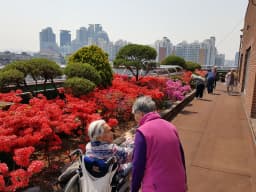 청운데이케어센터