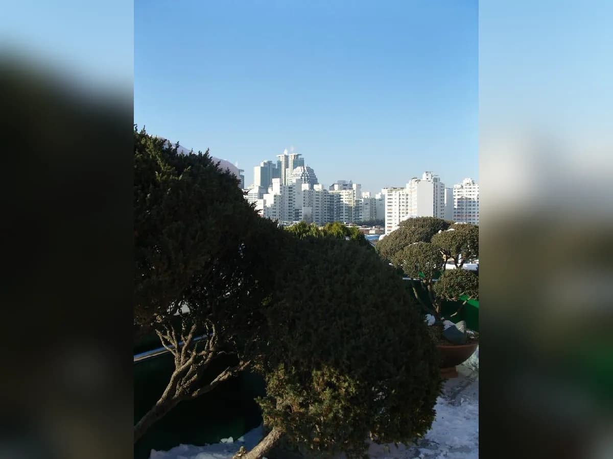 청운데이케어센터 이미지 4