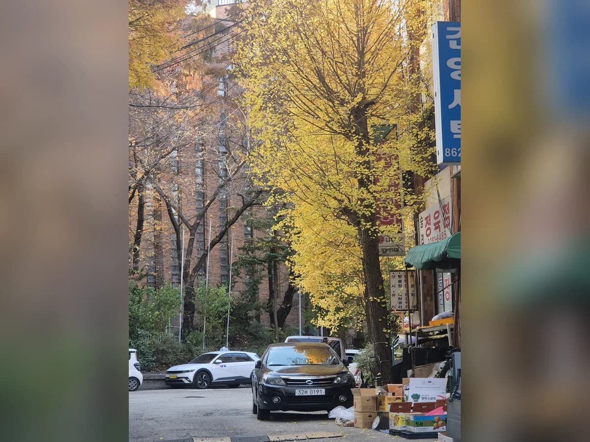 사랑나눔재가복지센터 이미지 2