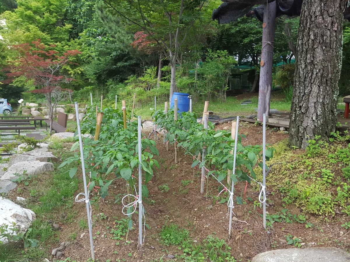 남광노인복지센터 이미지 7