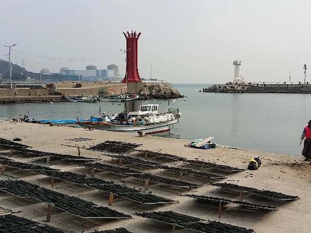다인재가노인복지센터 이미지 6