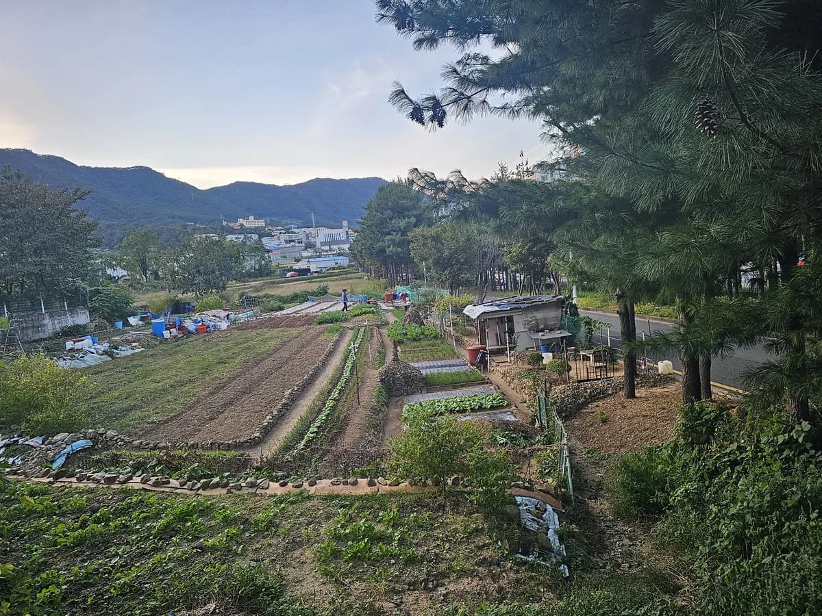 일신주간보호센터 이미지 3