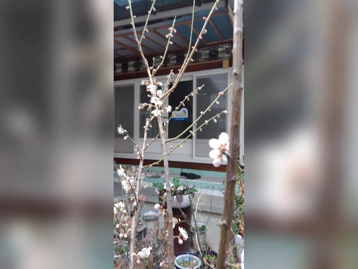 이웃사촌 재가장기 요양센터 이미지 3