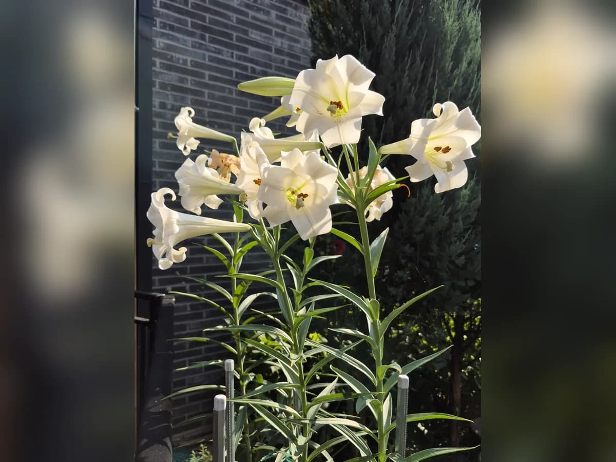 사랑재활주간보호센터 이미지 2