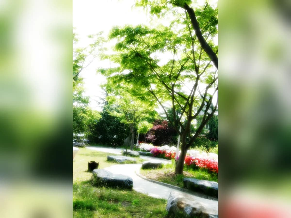 유성노인복지센터 이미지 4
