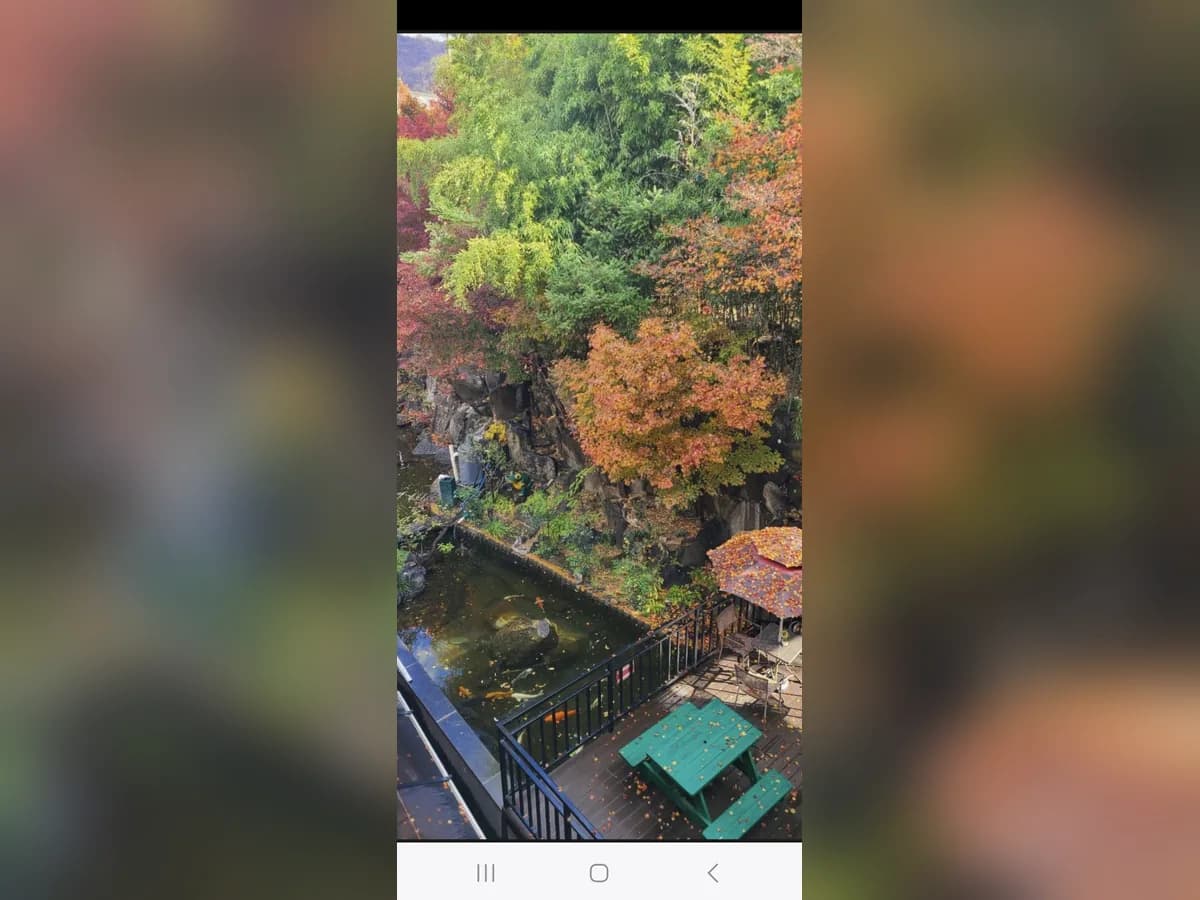 예사랑재가노인복지센터 이미지 2