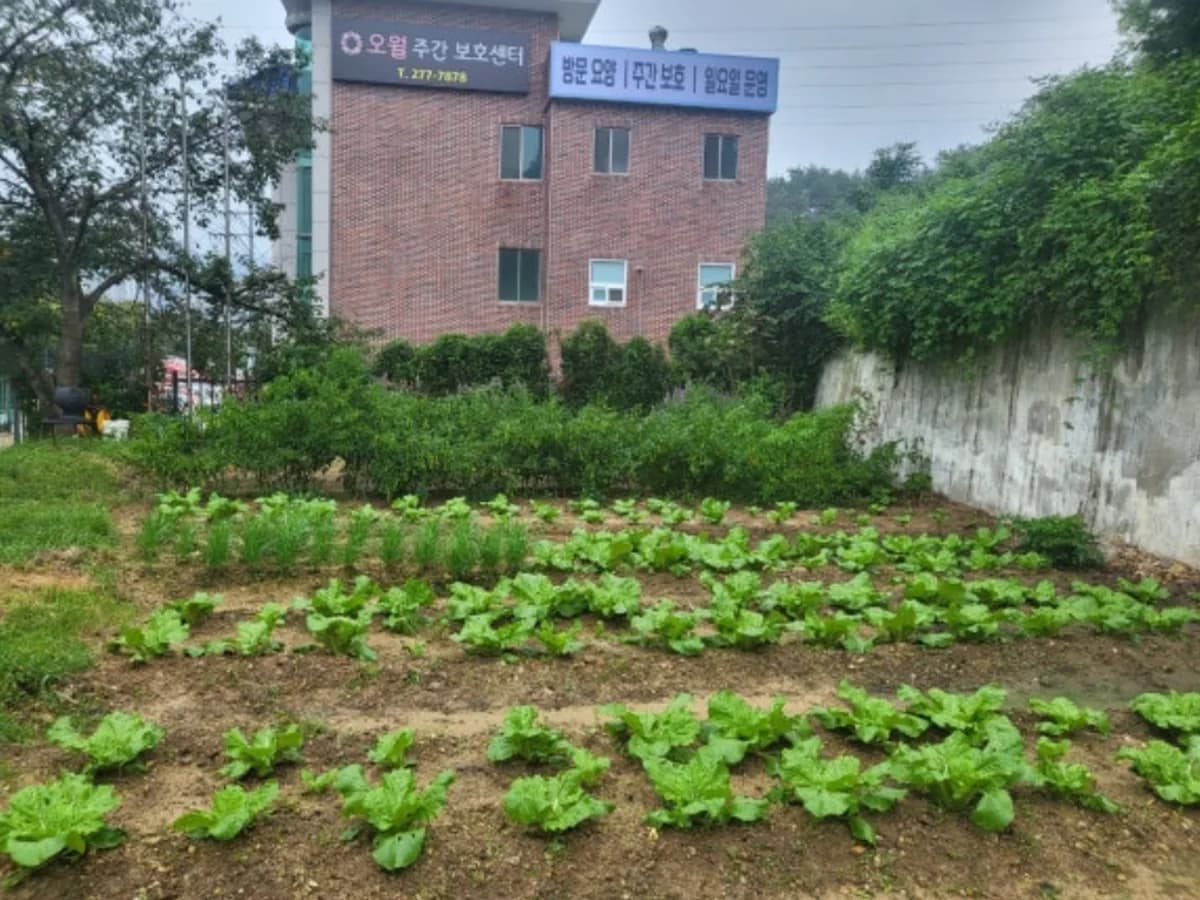 오월주간보호센터 이미지 1