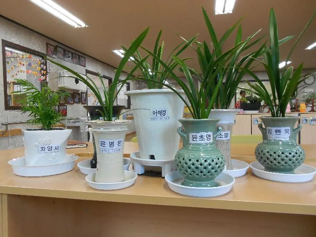 황송노인주간보호센터 이미지 5