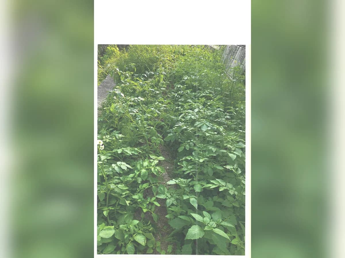 옥토주간보호센터 이미지 2