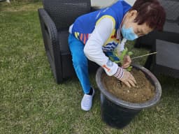다솜주간보호센터