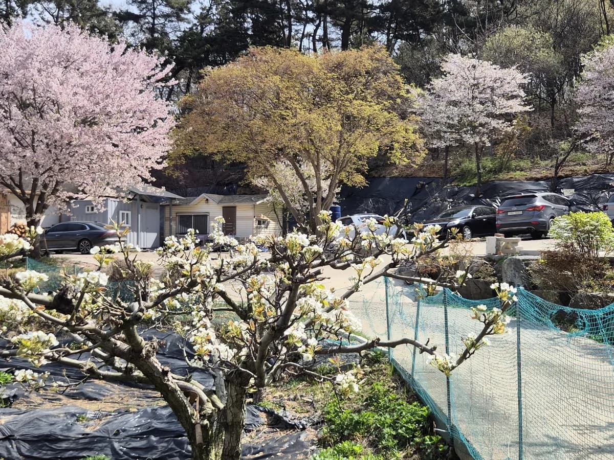 다사랑 통합 재가 주야간보호센터 이미지 1