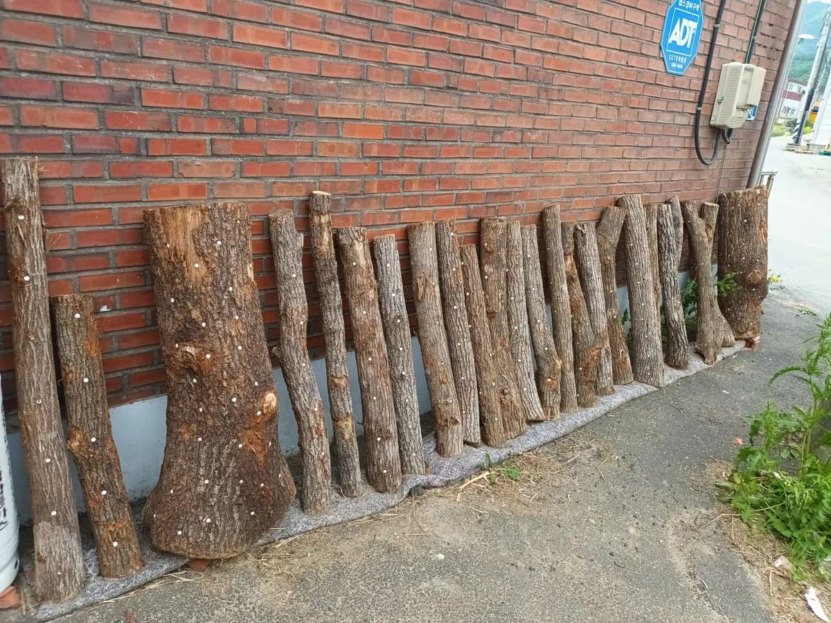 광주도척주간보호센터 이미지 2