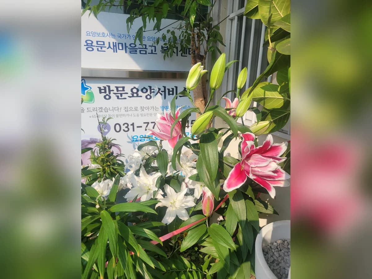 용문새마을금고 복지센터 이미지 2