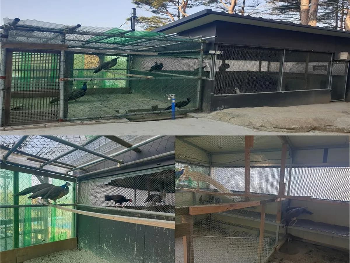 은영재활주간보호센터 이미지 2