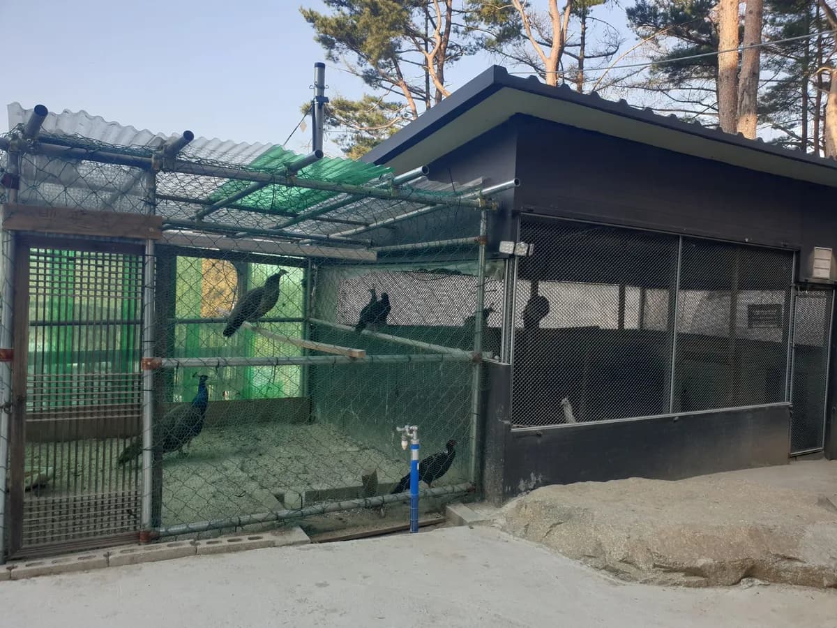 은영재활주간보호센터 이미지 4