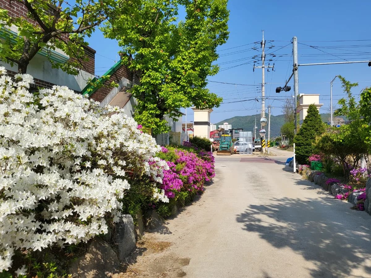 동송주간보호센터 이미지 7