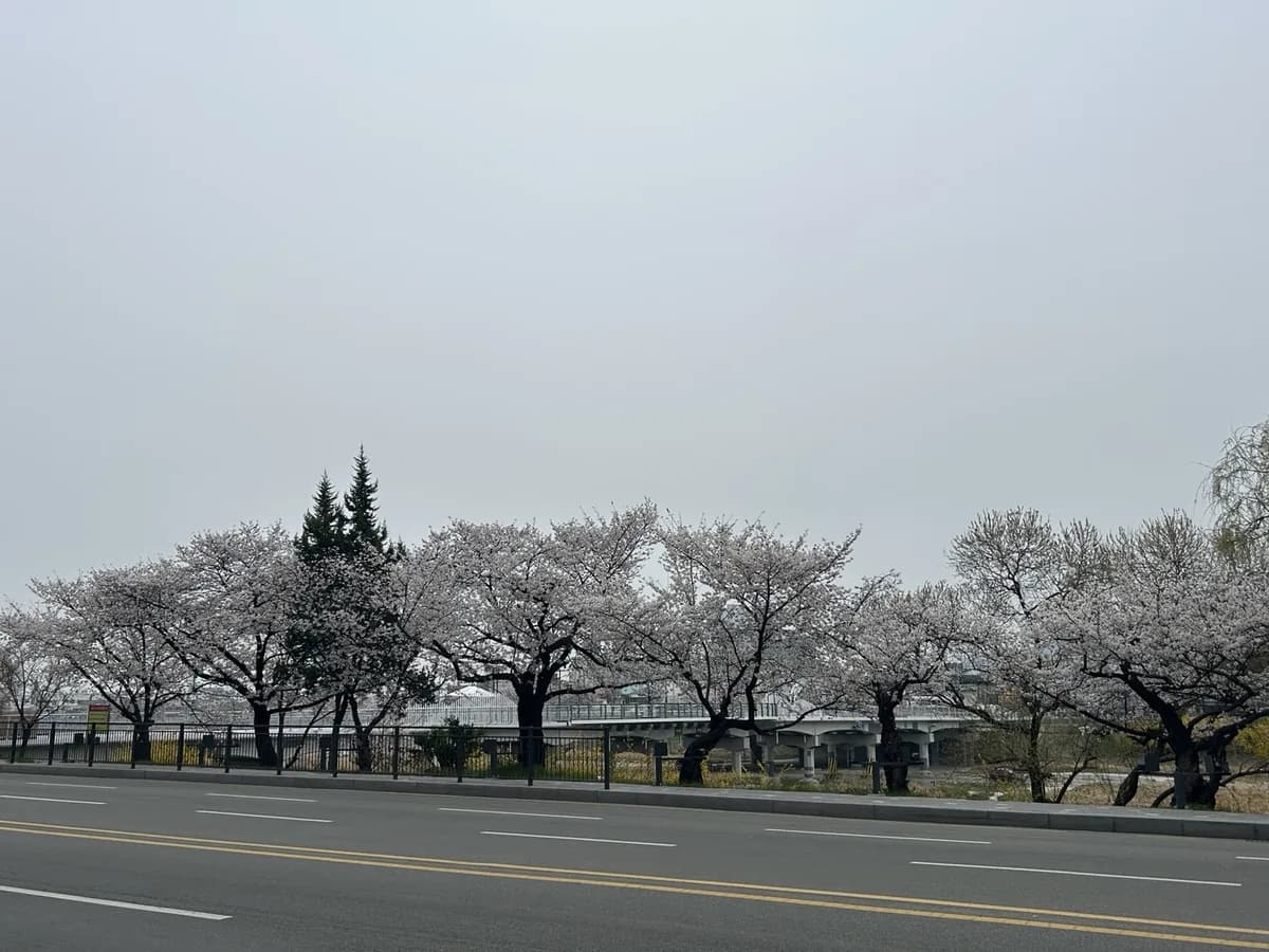 봄날주간보호센터 이미지 1