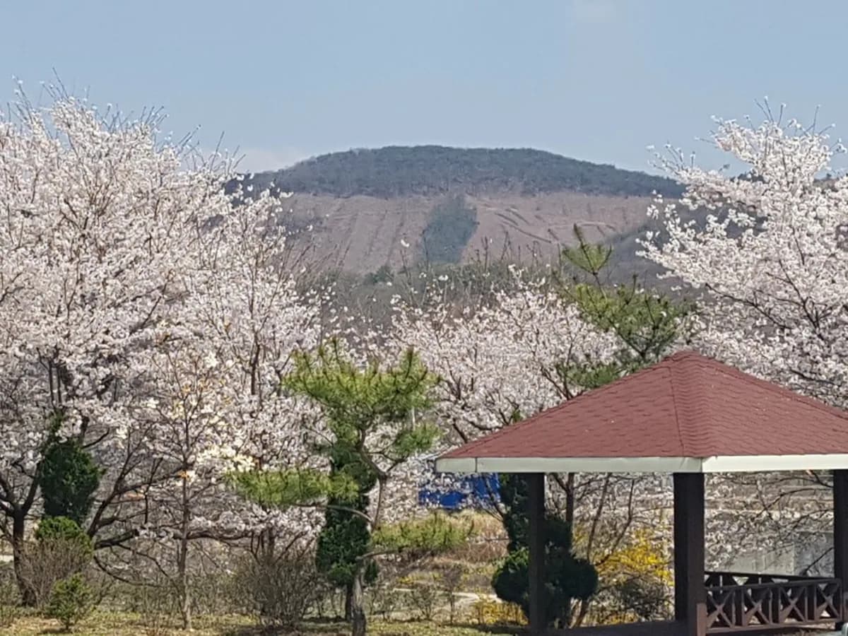 공주실버랜드주간보호센터 이미지 3